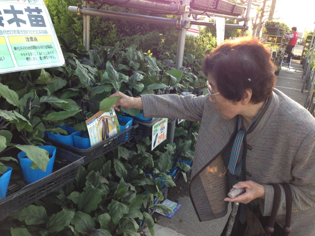 野菜の種を選ぶ祖母