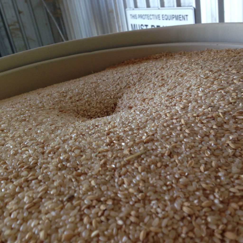 籾摺り機の中の米
