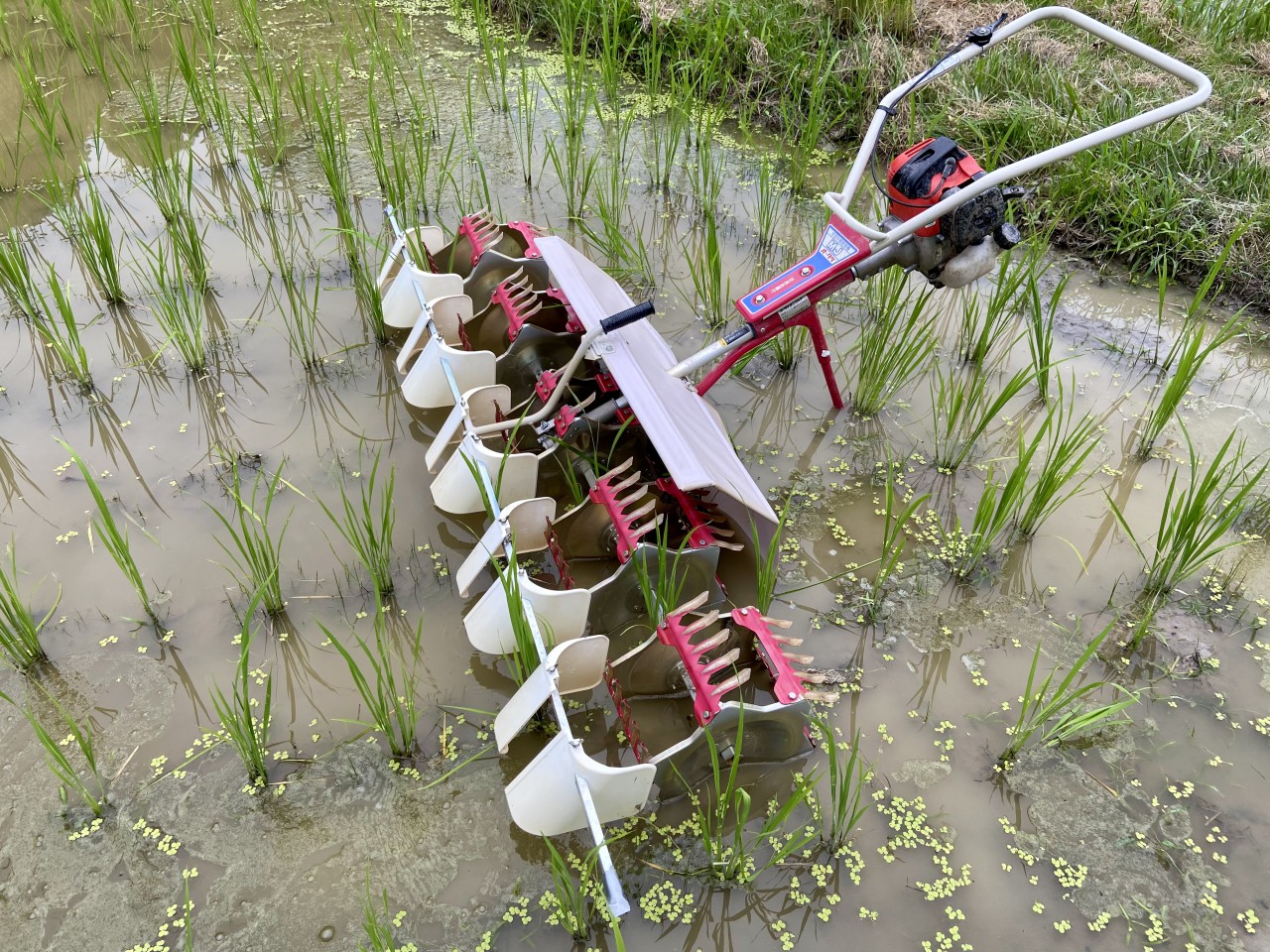 中耕除草機作業2週目。それぞれの道具を使い分けれるようになってきました。 | 山田錦が世界をつなぐ