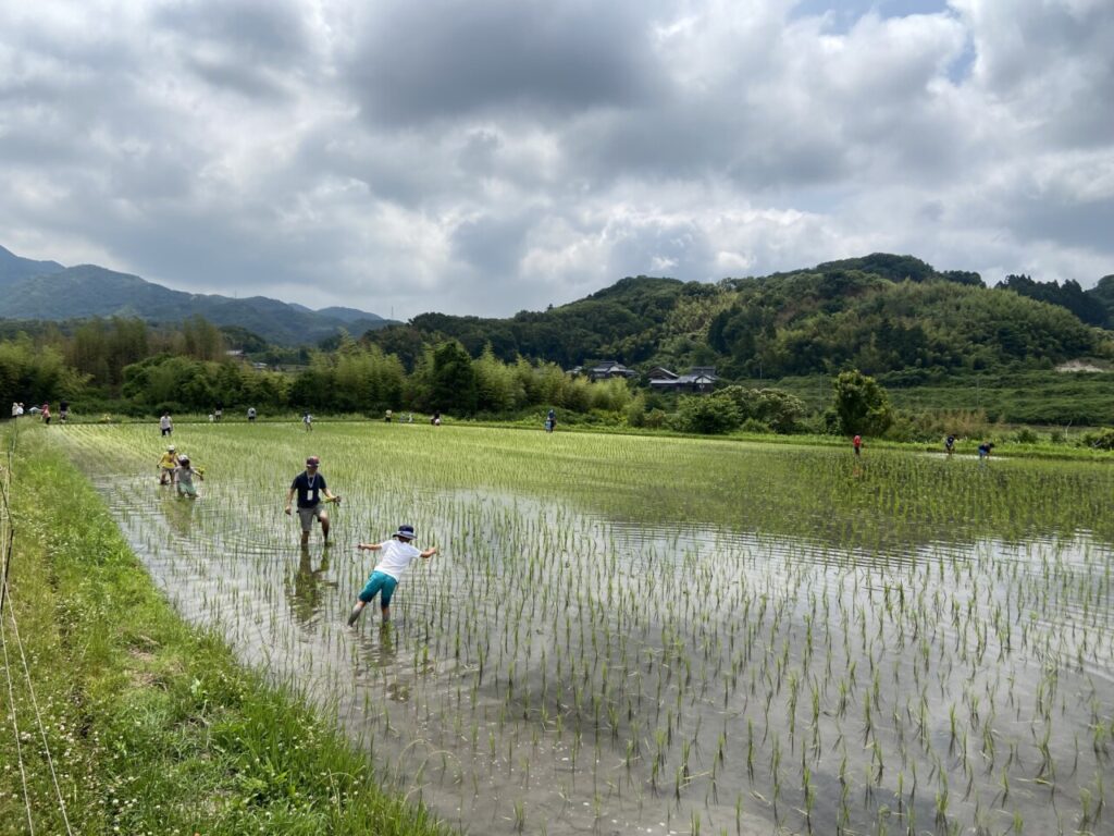 田植えイベント