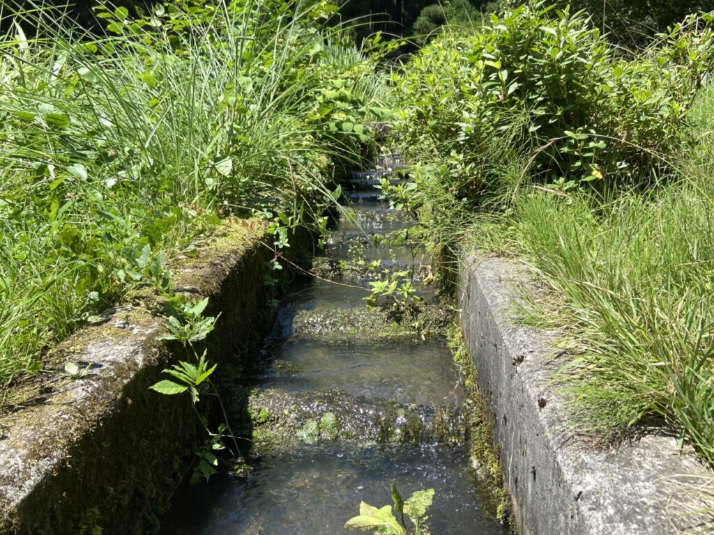 生き物の保護施設