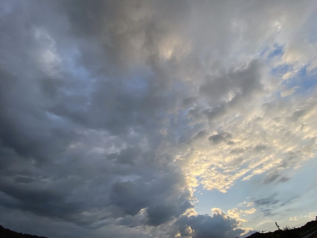 夏の空