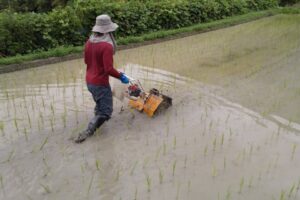 水田中耕除草機