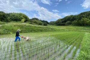 除草機作業