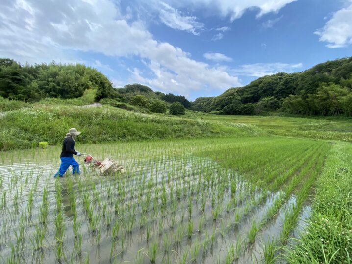 除草機作業
