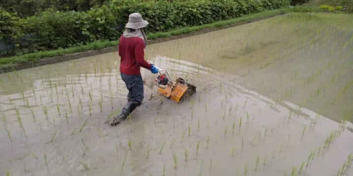 水田中耕除草機