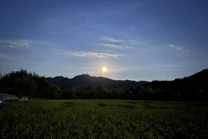 夜の田んぼ