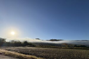 11月の空と田んぼ