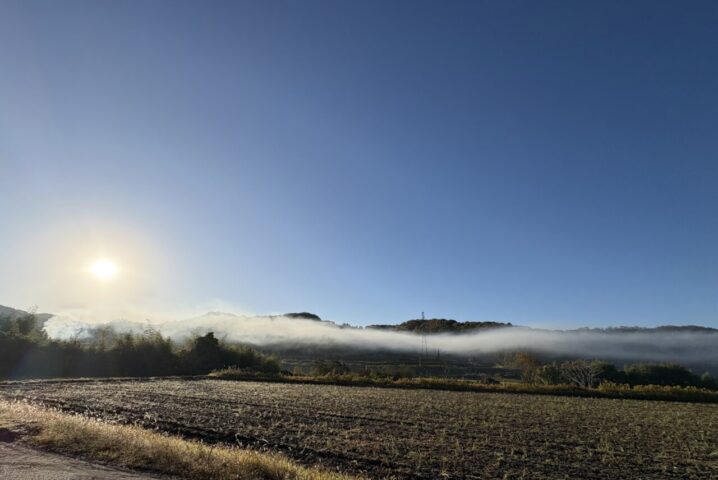 11月の空と田んぼ